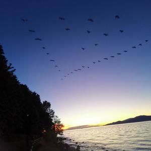 Meet your Posher, Randy